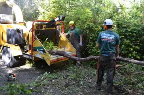 tree services Fort Morgan